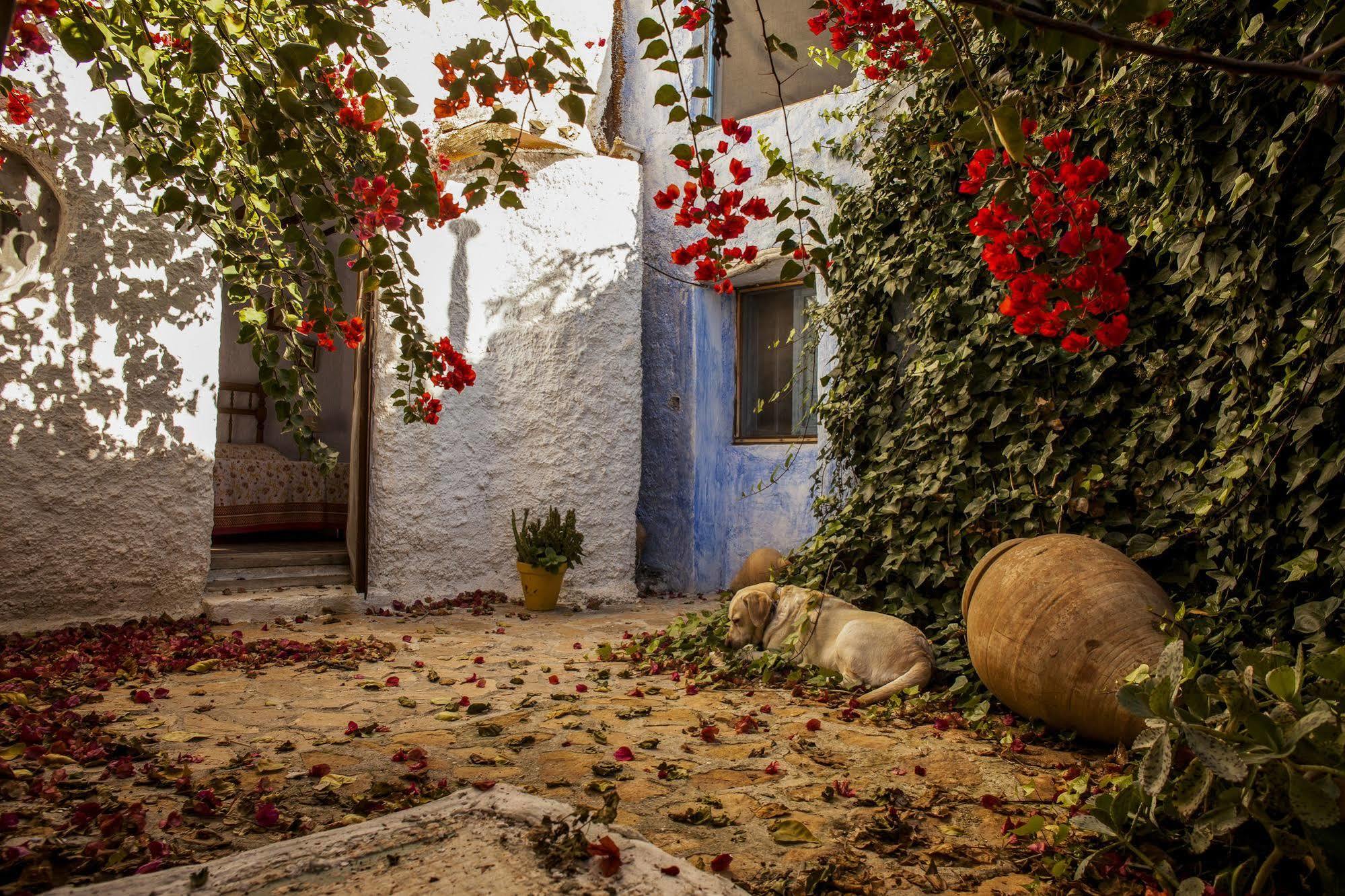 Casa Rural Aloe Vera Уеркаль-Овера Екстер'єр фото